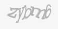 Защитный код