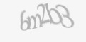 Защитный код