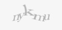 Защитный код