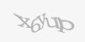 Защитный код