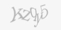 Защитный код