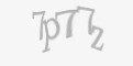 Защитный код