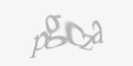 Защитный код