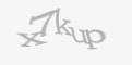 Защитный код