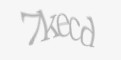 Защитный код