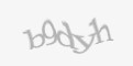 Защитный код