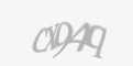Защитный код