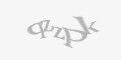 Защитный код