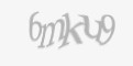 Защитный код