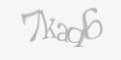 Защитный код