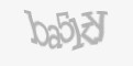 Защитный код