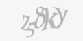 Защитный код