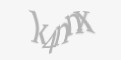 Защитный код
