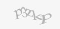 Защитный код